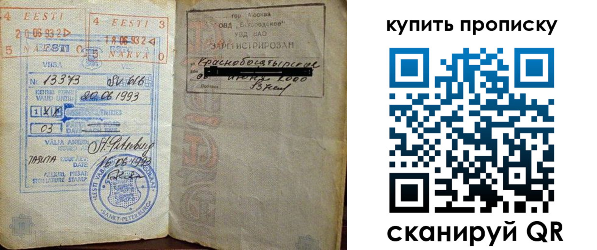 прописка для школы в Апатитах